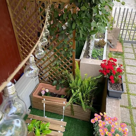 Vaghi Cagliari