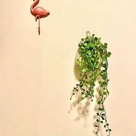 Vaghi 3* كالياري